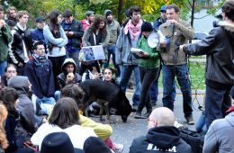 Assemblée générale du 15 octobre, premier jour d'occupation. Photos: N.Falcimaigne