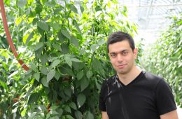 Afin dâ€™assurer le dÃ©veloppement et la capitalisation de son entreprise, Mohammed Hage envisage la voie de la coopÃ©rative. Photo: Fermes Lufa
