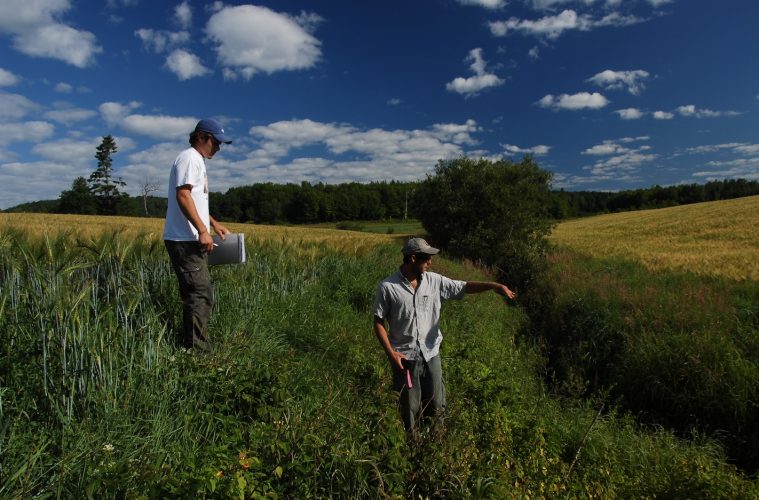 Les priorités environnementales à atteindre sont désormais définies à l’échelle de bassins versants, et non plus à l’échelle d’une seule exploitation. Photo : UPA