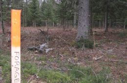 L’entreprise Gastem a investi le sous-sol de l’église de Saint-Léon-le-Grand, village voisin d’Amqui, le 5 décembre dernier afin de présenter son plan d’action concernant des travaux exploratoires de pétrole conventionnel dans la municipalité, travaux sur lesquels le Conseil municipal ne s’est pas encore prononcé. Photo: S. Poirier