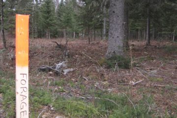 L’entreprise Gastem a investi le sous-sol de l’église de Saint-Léon-le-Grand, village voisin d’Amqui, le 5 décembre dernier afin de présenter son plan d’action concernant des travaux exploratoires de pétrole conventionnel dans la municipalité, travaux sur lesquels le Conseil municipal ne s’est pas encore prononcé. Photo: S. Poirier